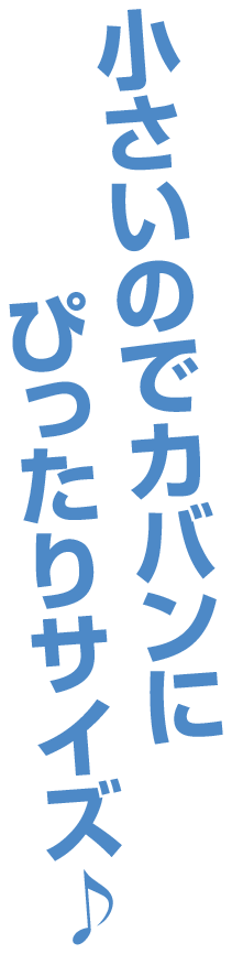 小さいのでカバンにぴったりサイズ♪